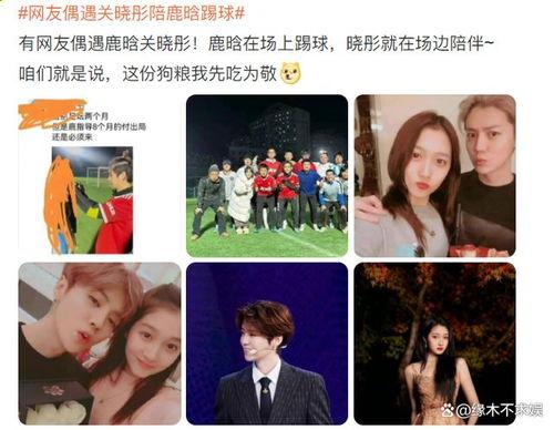 鹿晗爆料视频在线观看网站,揭秘娱乐圈幕后真相  第3张